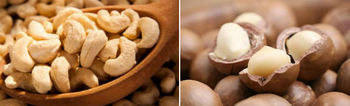 Cashew nut macadamia nut.jpg